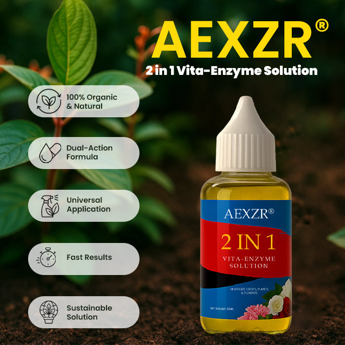 AEXZR® 2 in 1 Vita-Enzyme Solution