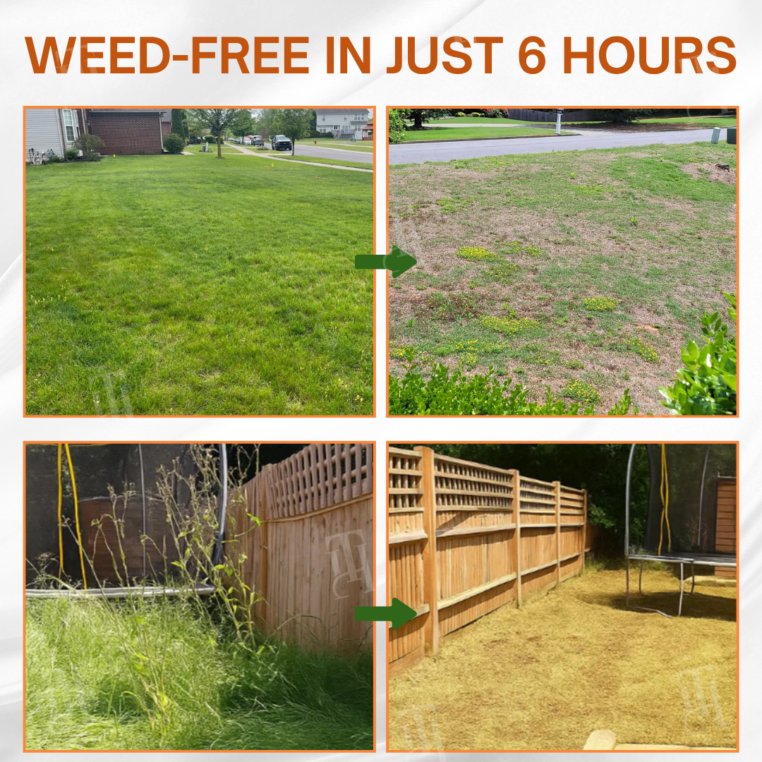 🌟 Official Store | AEXZR® 2-in-1 Max Power Herbicide