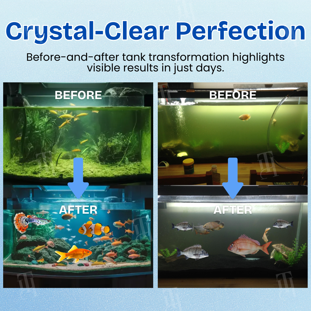 🌟 Official Store | AEXZR® Aquariums Aqua-Guardian Blend