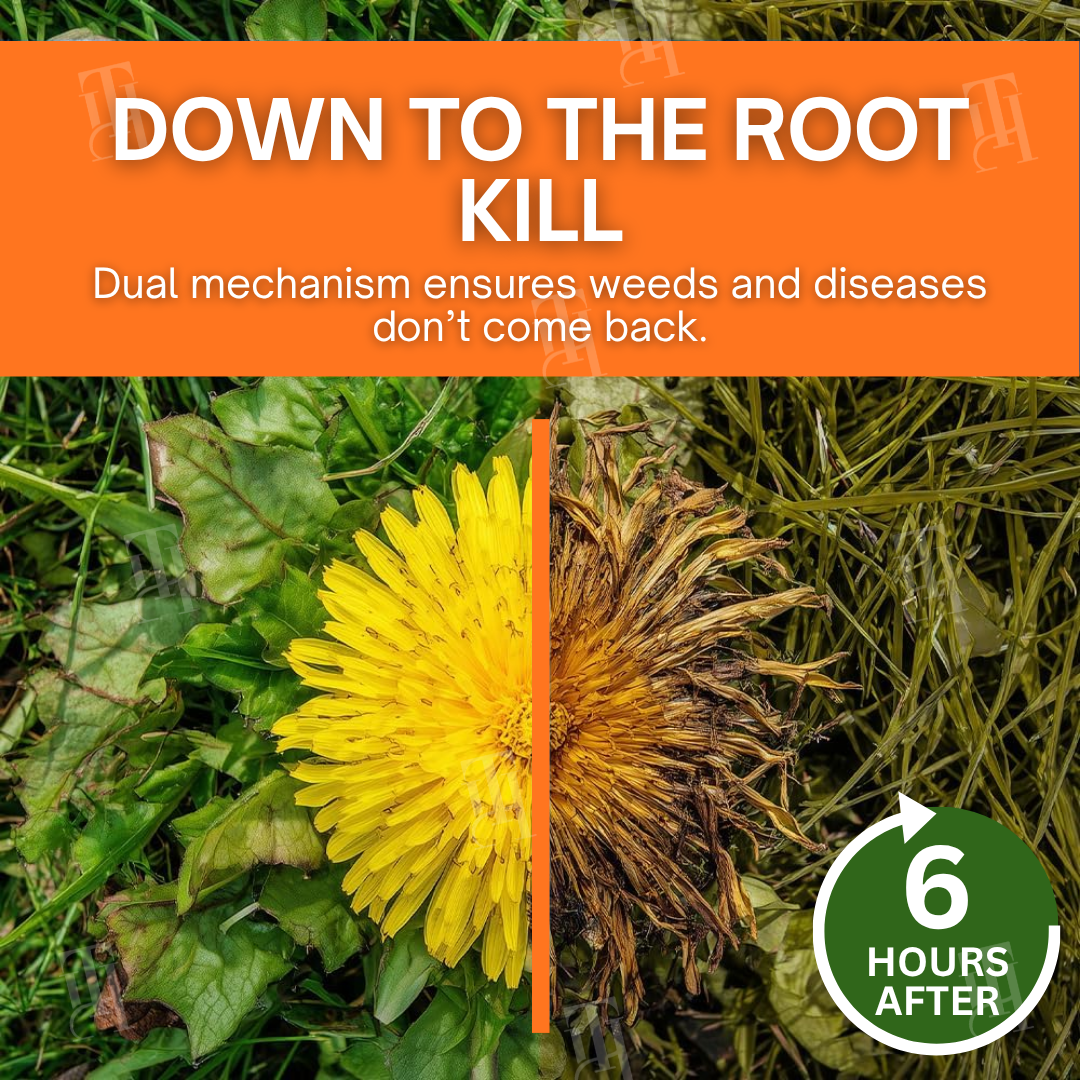 🌟 Official Store | AEXZR® 2-in-1 Max Power Herbicide