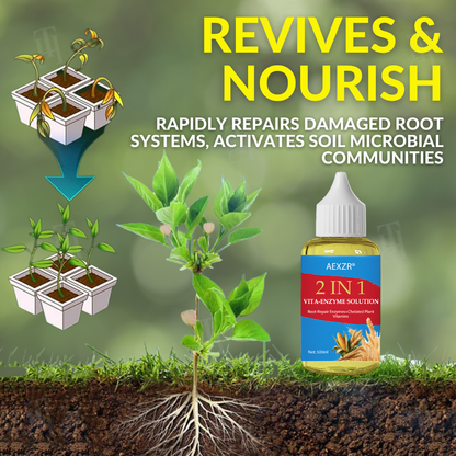🌱 Addresses Root Causes🌟 Official Store | AEXZR® 2 in 1 Vita-Enzyme Solution