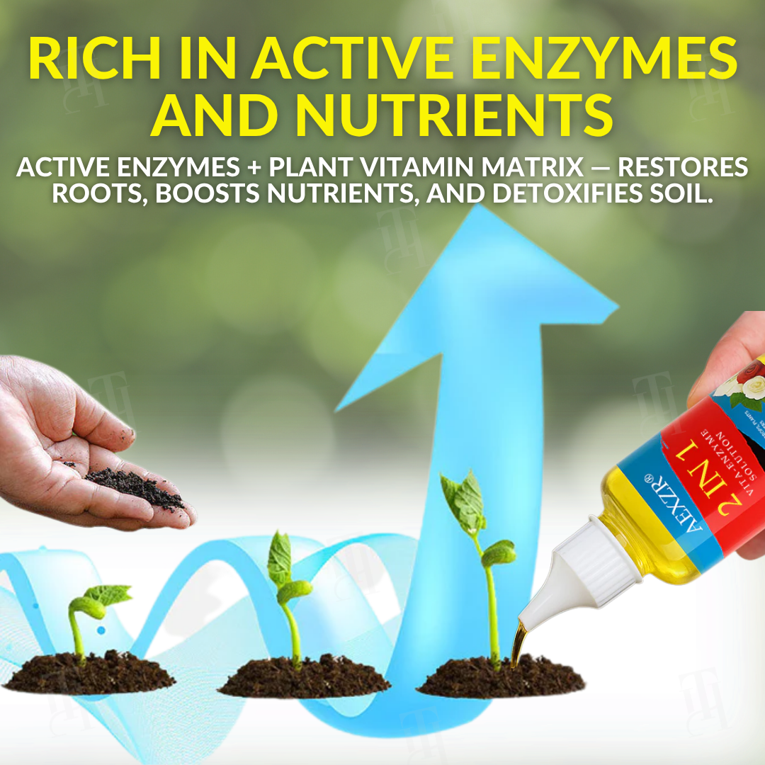 🌱 Addresses Root Causes🌟 Official Store | AEXZR® 2 in 1 Vita-Enzyme Solution
